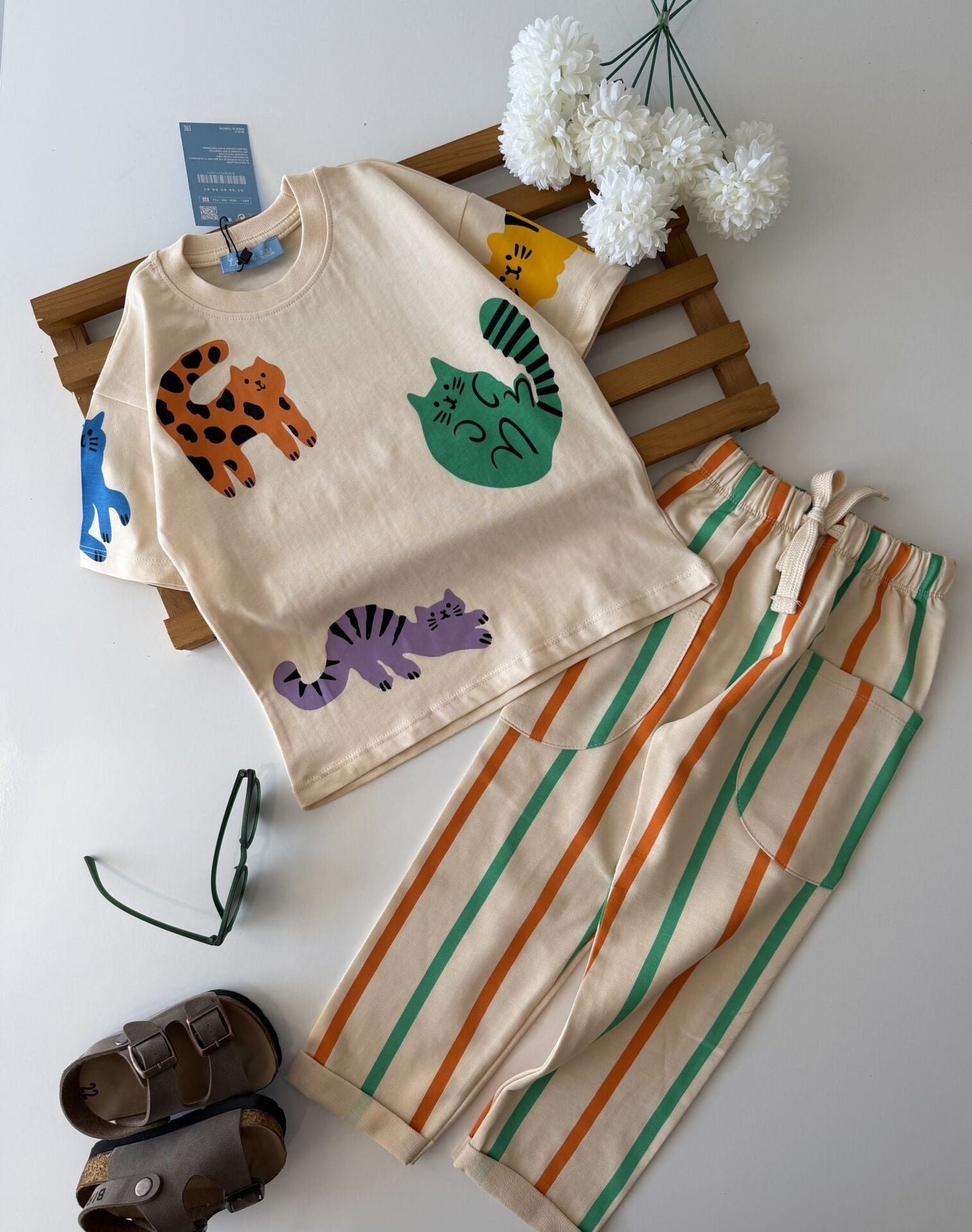 Safari Cats Stripe Set