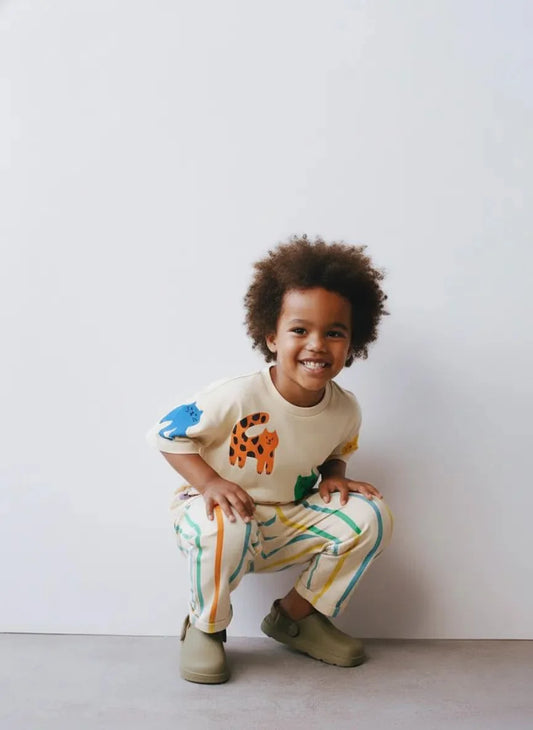 Safari Cats Stripe Set